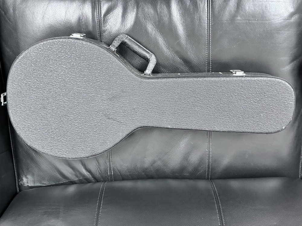 OSCAR SCHMIDT OM 10, Hard Case Great Shape