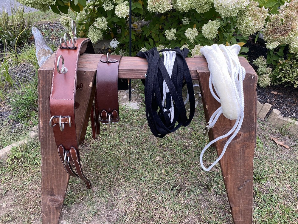 Leaders Training System For Horse, Training Surcingle, Lines And Training Aid