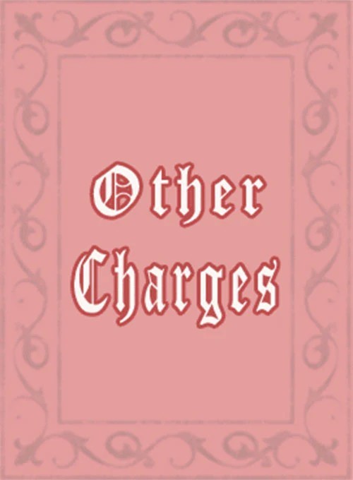 Customization Charges - Other Charges