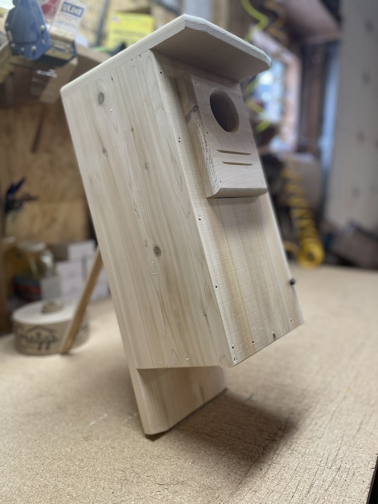 2 pack Red bellied woodpecker nest boxes (white cedar)