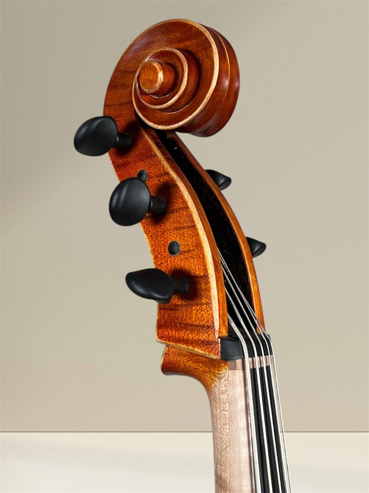 Simon Joseph 5 string cello (cello) da Spalla, to hang