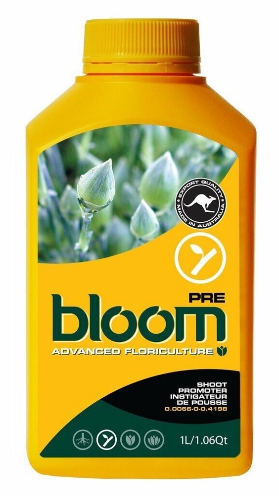 Bloom Yellow Bottle - Pre / 10 oz