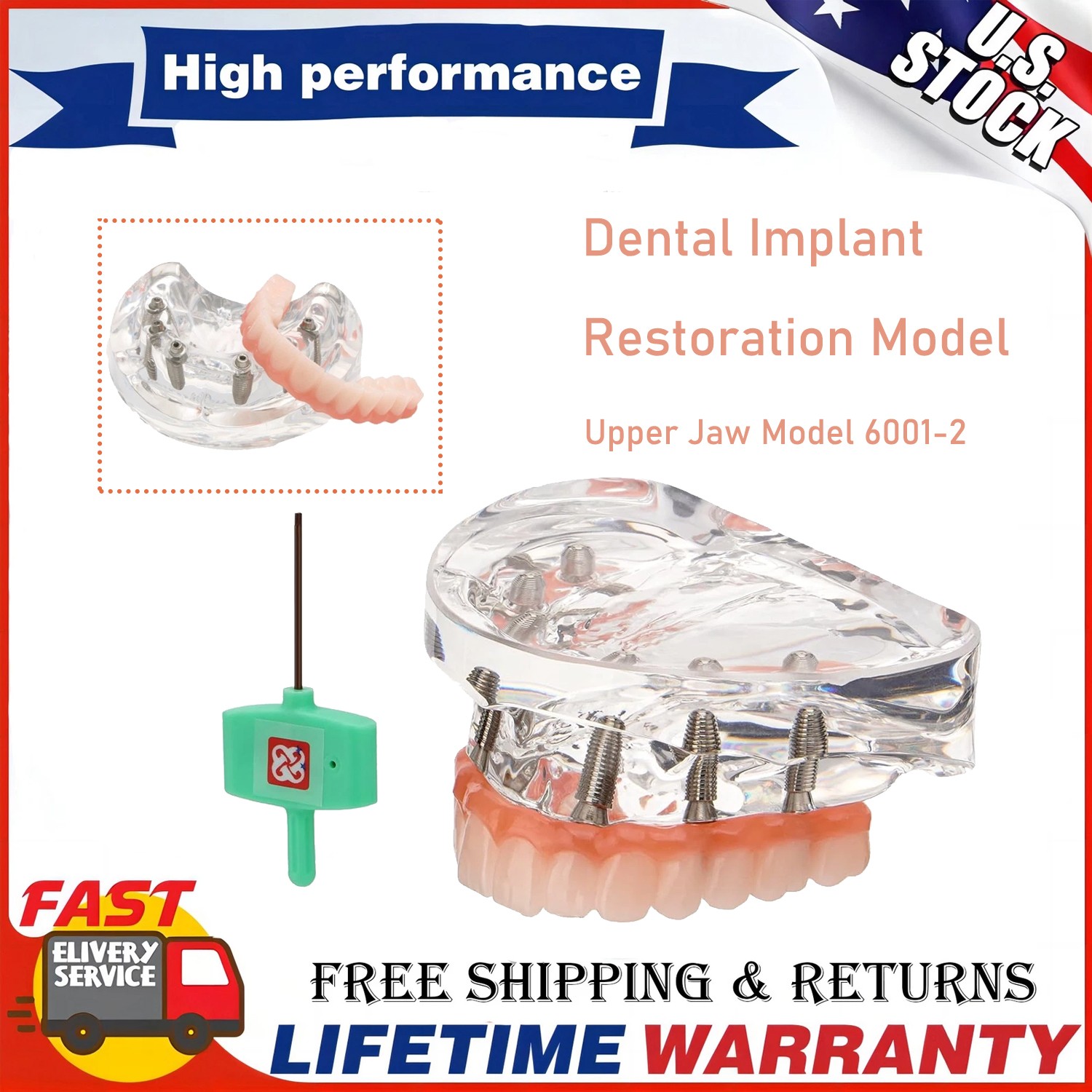 Dental Implant Restoration Model Upper Jaw 6 Screws Post Core Bridges M6001-2 US