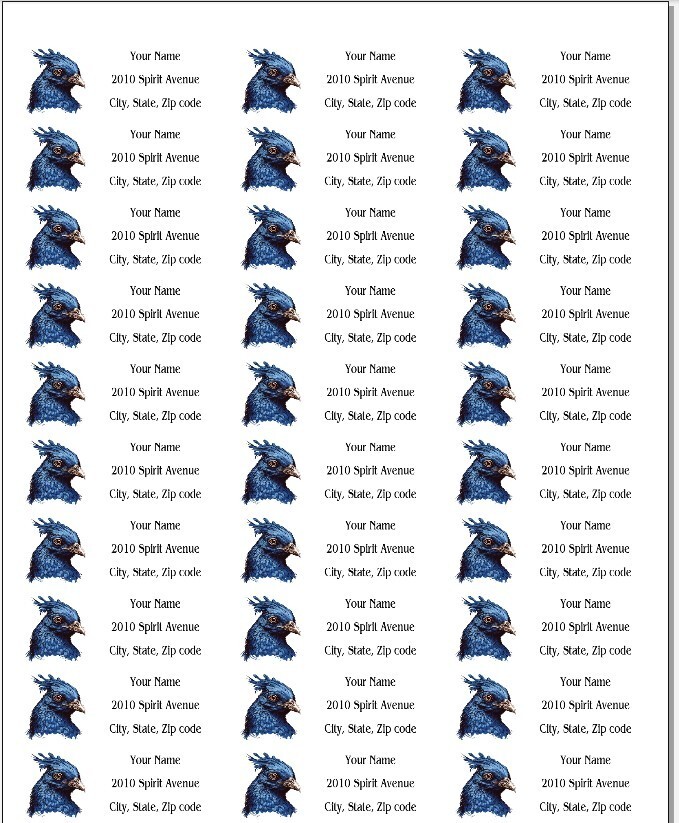 150 Blue Hen Chicken Profile Mailing Return Address Labels Personalized