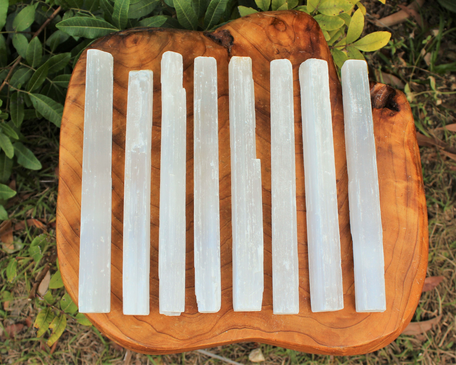 2 lb Bulk Wholesale Lot 7" - 8" Selenite Logs Crystal Sticks Wand Blade 2 Pounds