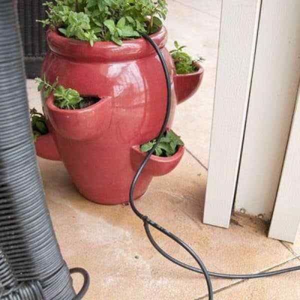 Poly Micro Drip Irrigation Tubing 0.25 in x 50 ft Emitter Line