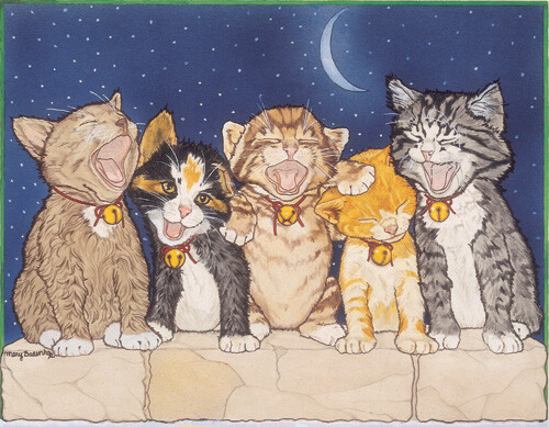 Cat Group Blank Note Cards Boxed