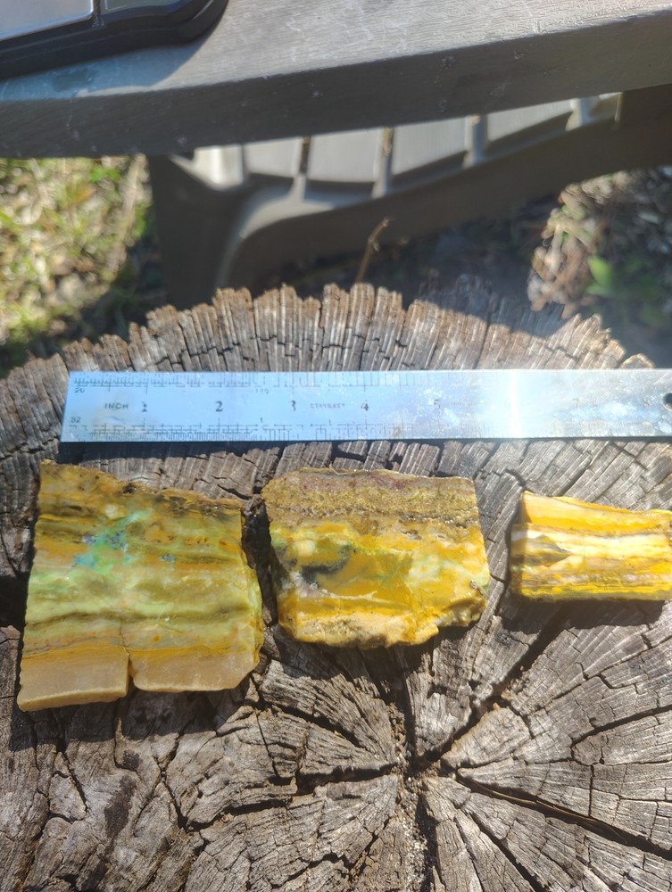 blue opalized petrified wood