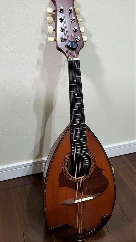 Suzuki Mandolin Violin Junk with some damage Case