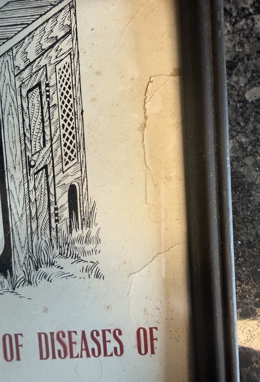 Rare Vtg Howard L. Davis Germ-Asid Graphic Advertising Farm Sign Glenolden PA