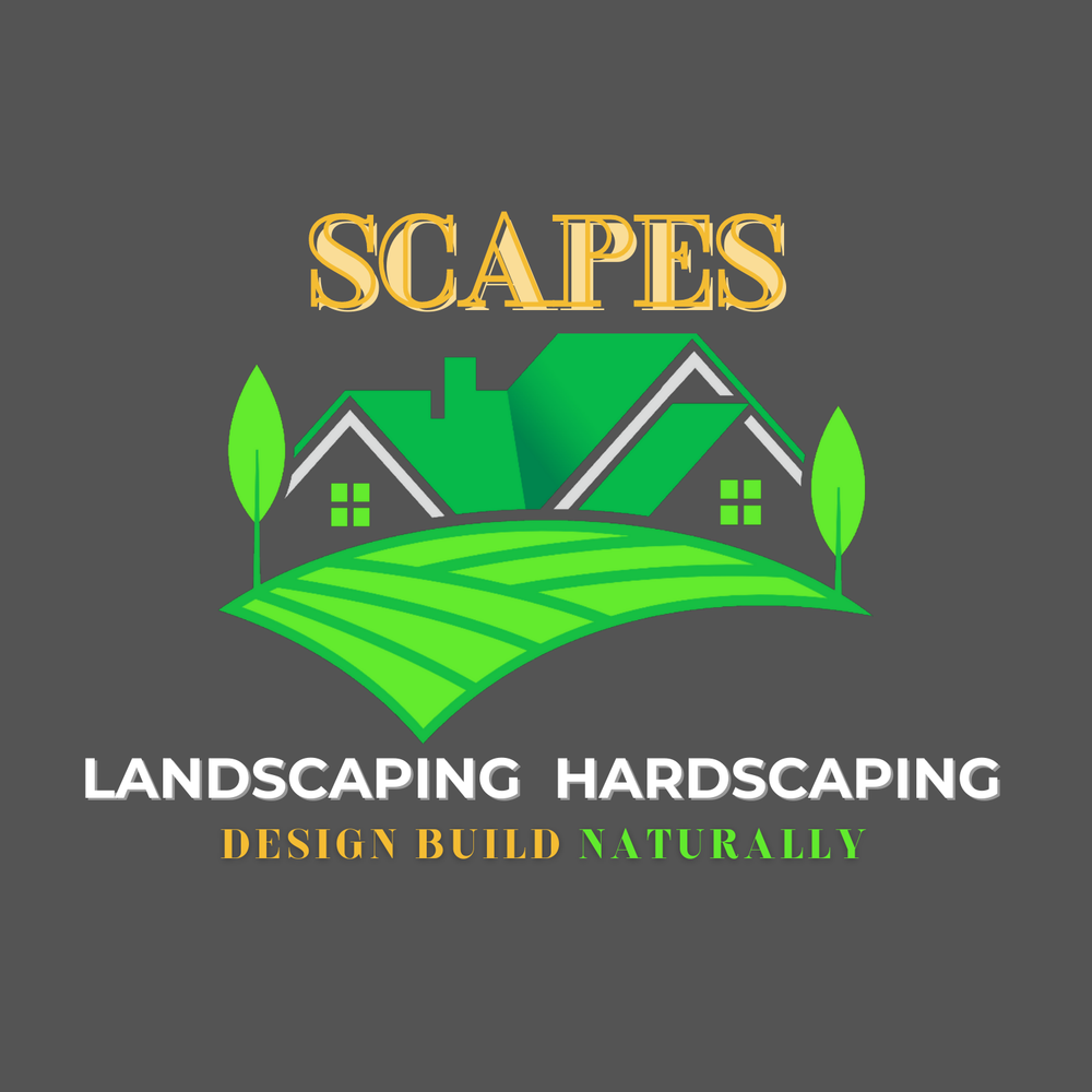 Create a Graphic design logo new design redesign revision