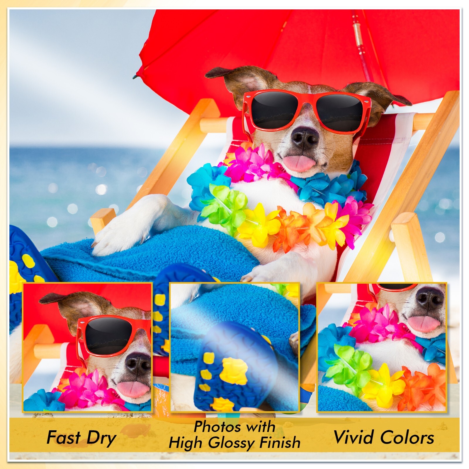 Koala Photo Paper 8.5x11 Glossy 100 Sheets 36lb 135g for Inkjet Printer Epson HP