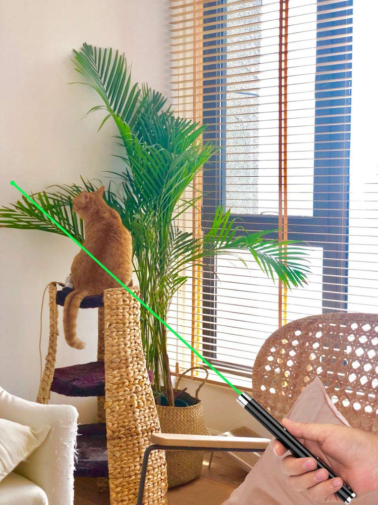 2Pack Lazer Green Battery-powered laser pointer Astronomy Visible Beam Light