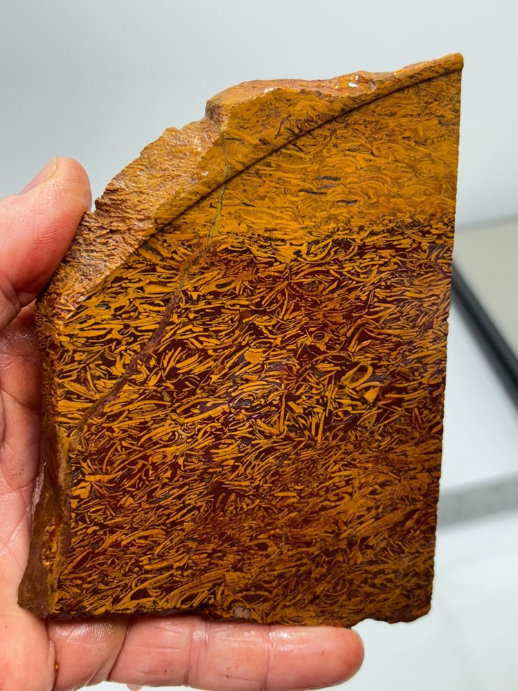 Script Stone Jasper Slab Cabbing Lapidary Collecting Combo Ship Avail