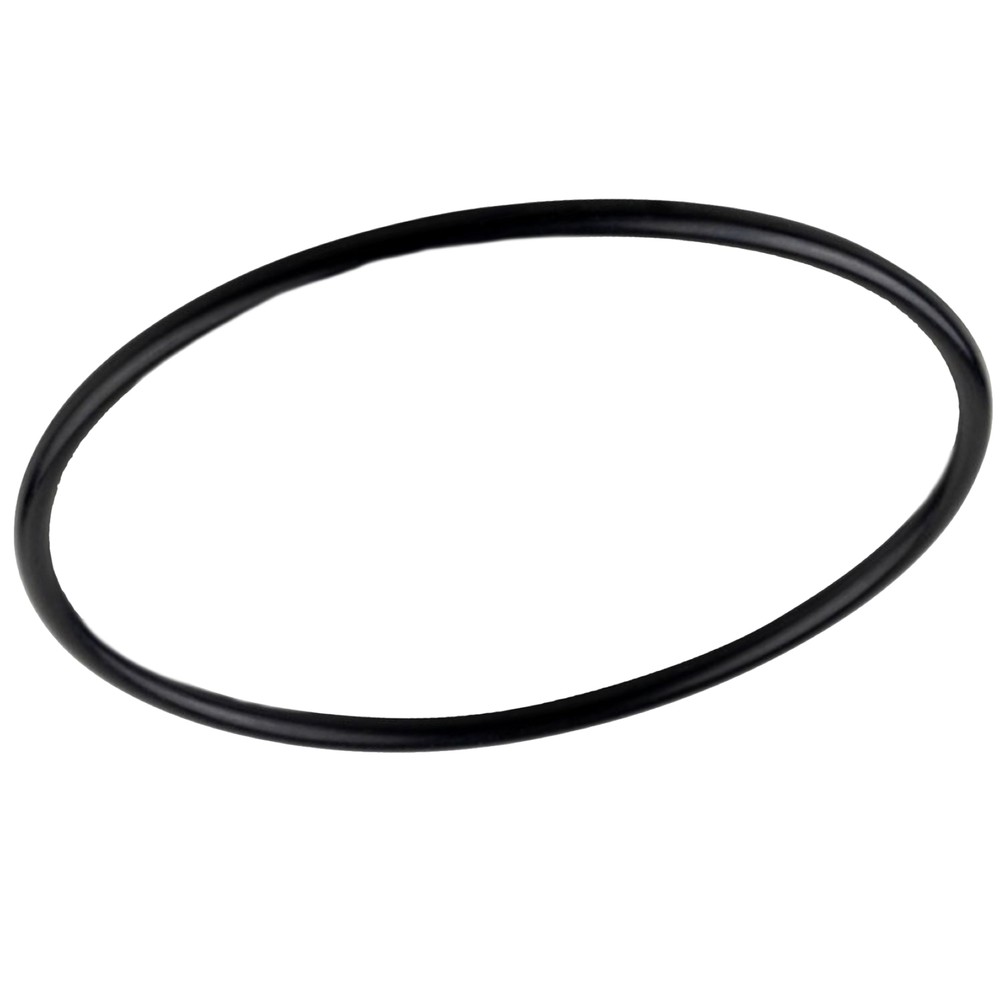 Netafim Manual Plastic Disc Filter Cover O-ring