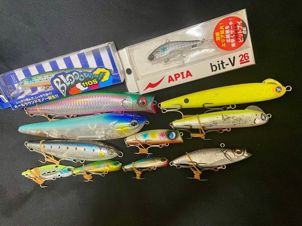 Seabass Lure 12 Set
