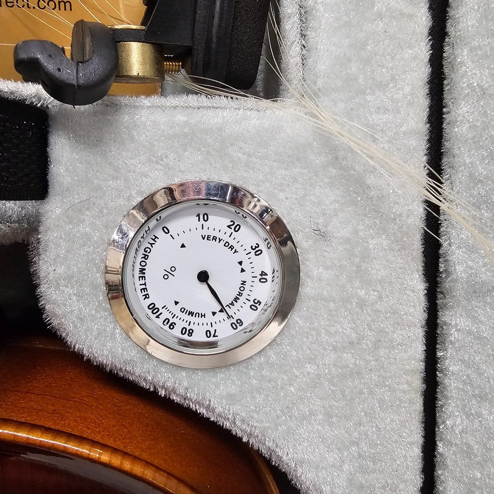 Student Violin (missing label needs strings) 4/4