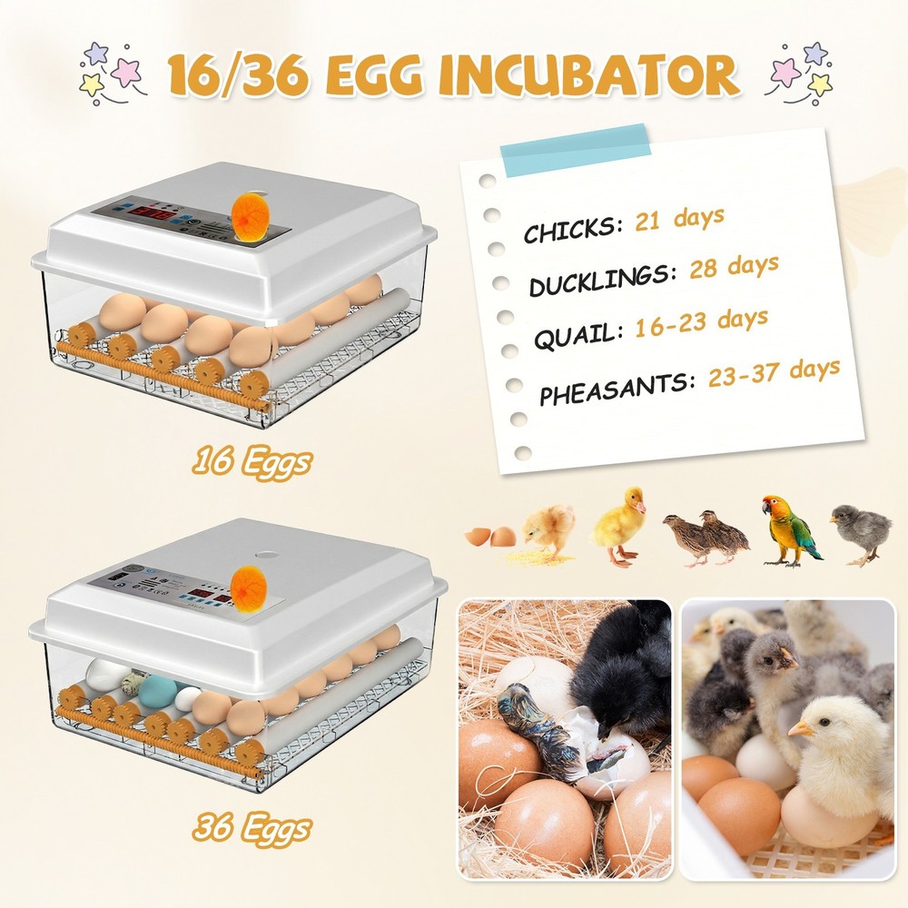 16 Eggs Incubator Digital Hatcher Temperature Control Fully Automatic Turning US