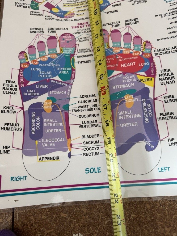 REFLEXOLOGY Poster 2002 used