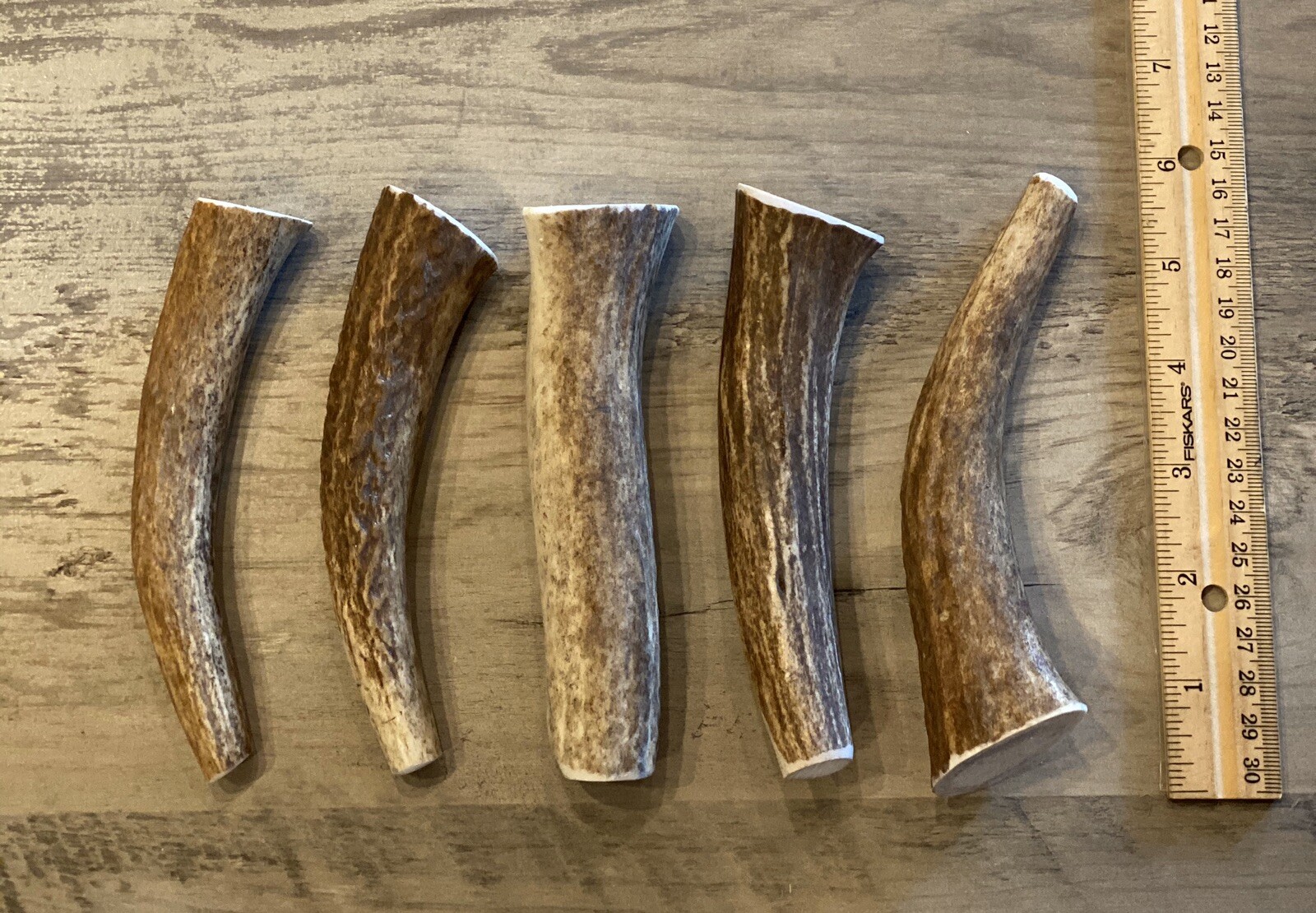 MEDIUM Elk/Deer Antler Premium Dog Chew (1pc) **OREGON ANTLER WORKS**