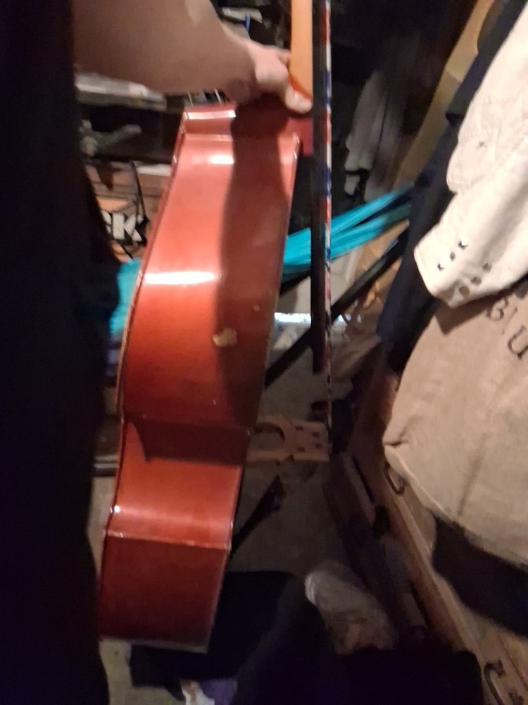 Bass Cello