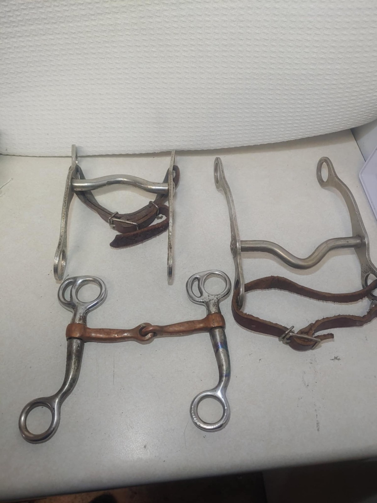 horse bits western decor