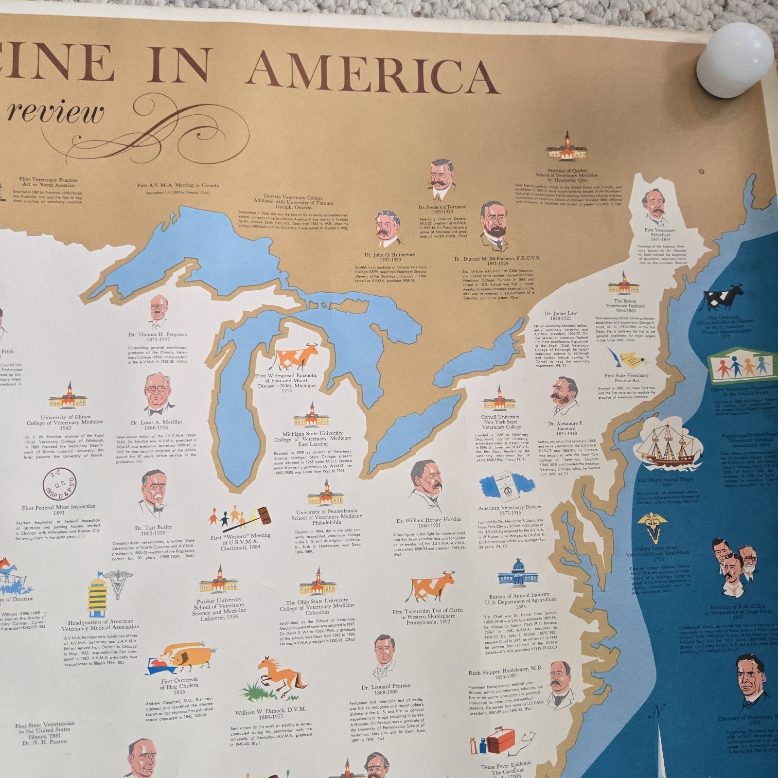 1960 Veterinary Medicine In America Poster History Map Unframed Vtg Vet Wall Art