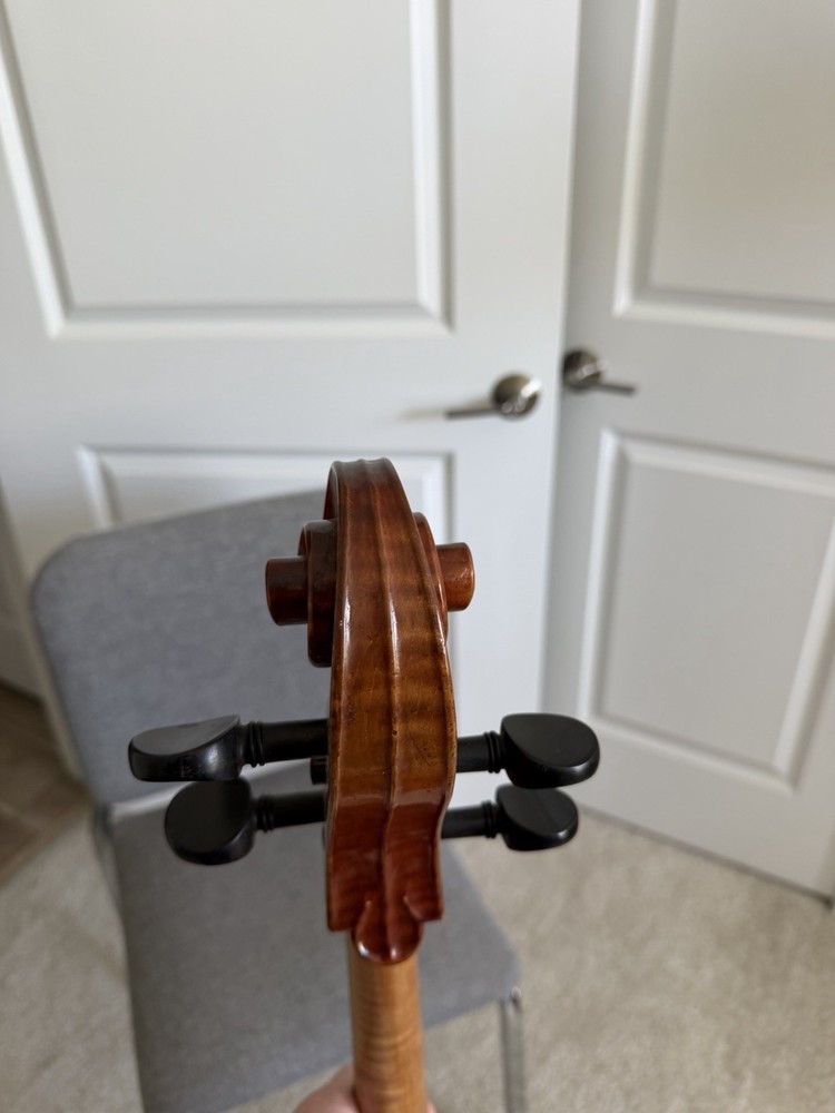 Nicolas Parola CP30E 4/4 Cello