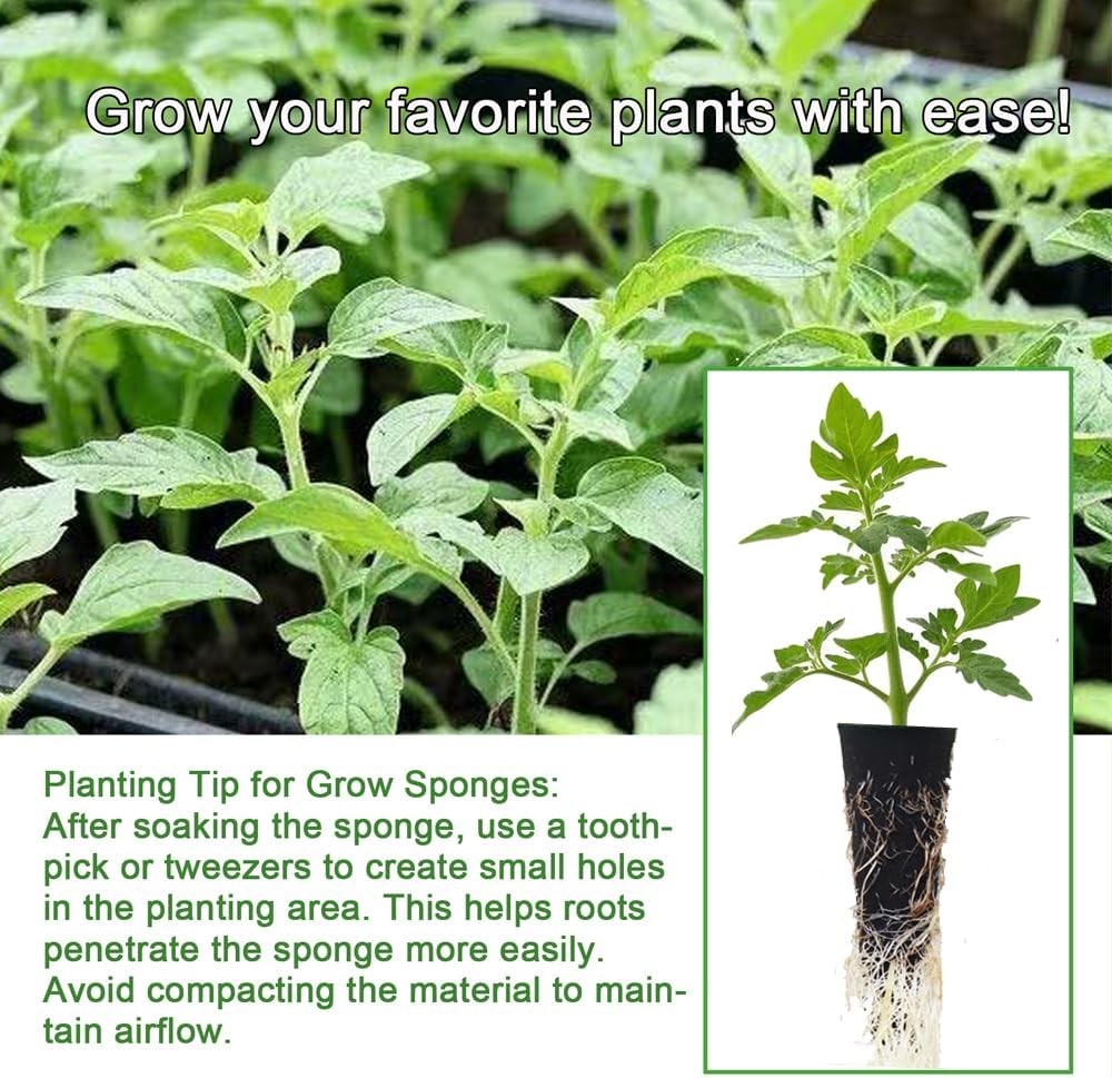 50 Pack Hydroponic Grow Sponges Seed Pods Replacement, Growing System Plant...