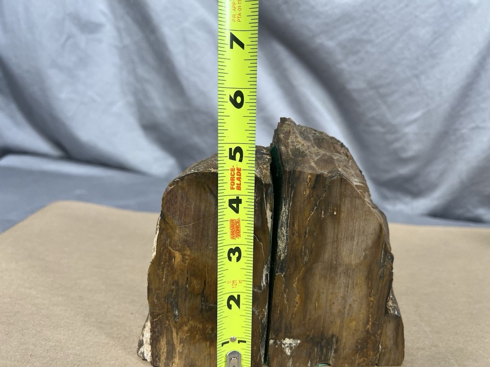 Petrified Wood Bookend Pair with felt padding