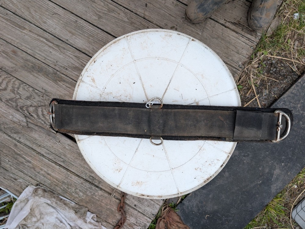 Synthetic 30" girth with detachable felt