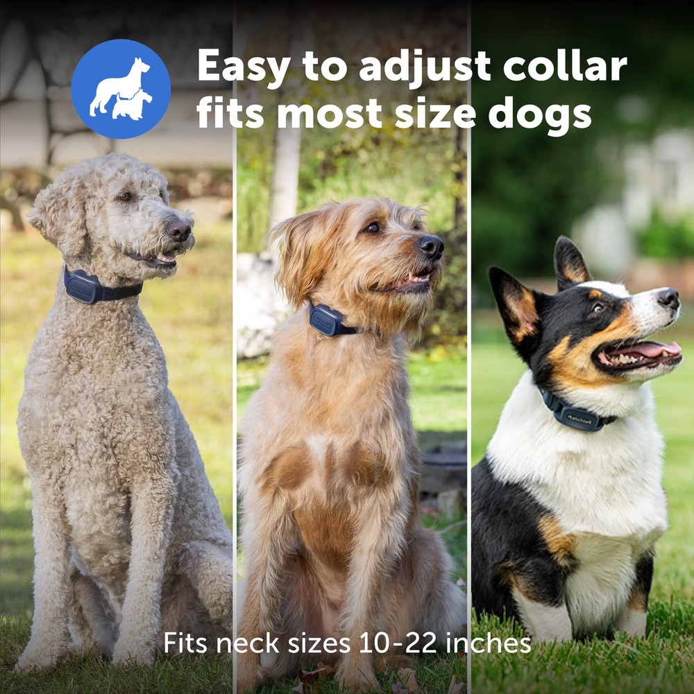 PetSafe Core Dog Trainer with Remote – 1000 Foot Range – Tone