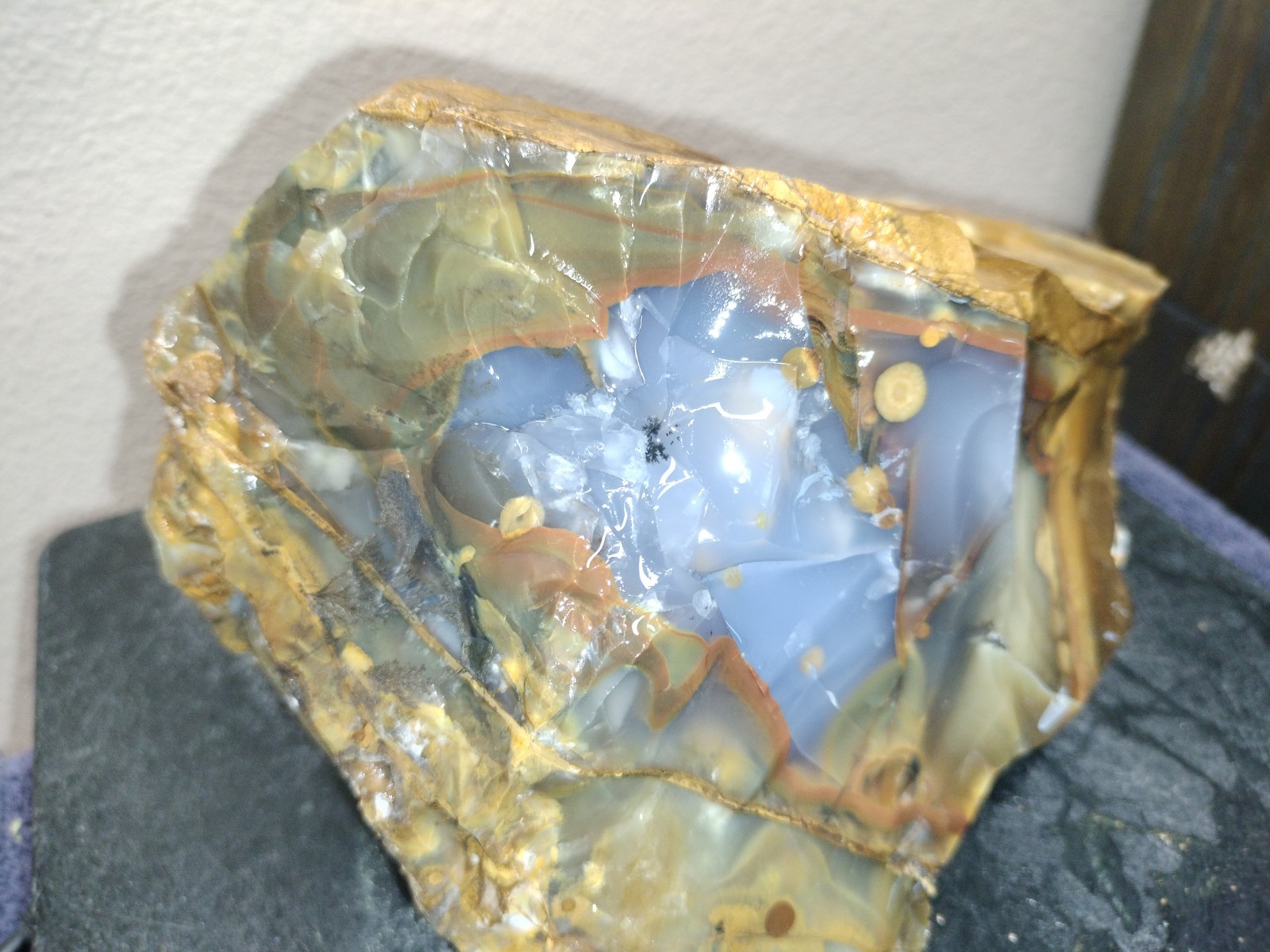 8.2LB 💙 Blue Ice Polka Dot Agate 2pc Rough Lot Ashwood, OR Cabochon Stock #24