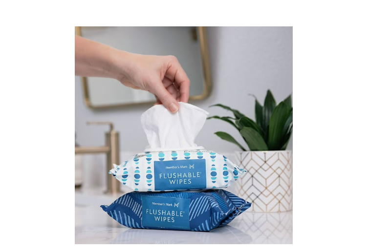 Member's Mark Flushable Wipes, Fresh Scent, 540 ct.