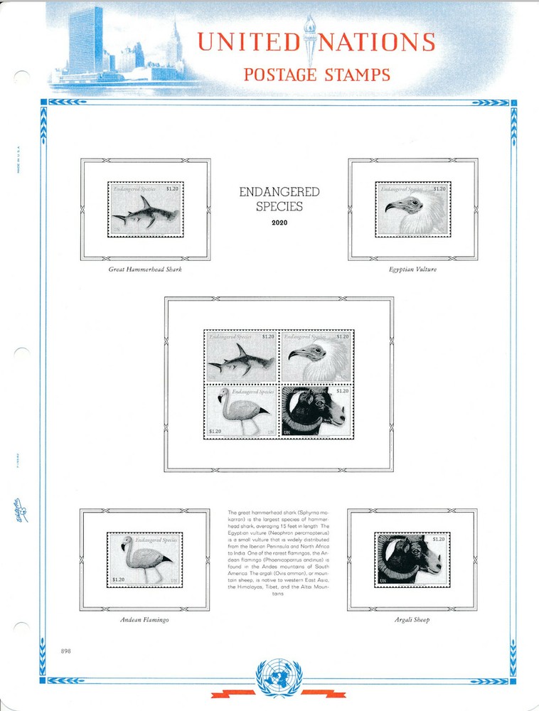 WHITE ACE 2020 United Nations Singles Album Supplement UN-68