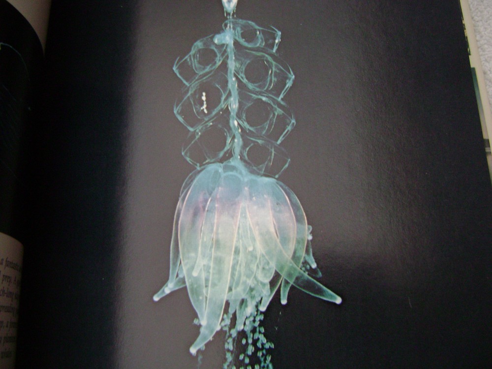 THE OCEAN REALM BOOK NAUTICAL MARITIME