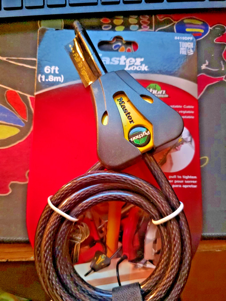 MasrerLock Product #38419DPF 6FT Python