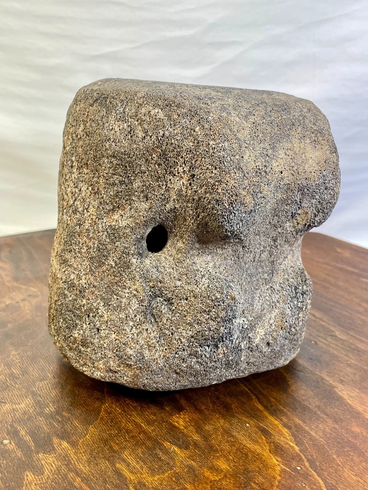 Authentic Fossilized Whale Vertebrae Bone - Unique Textured Display Piece