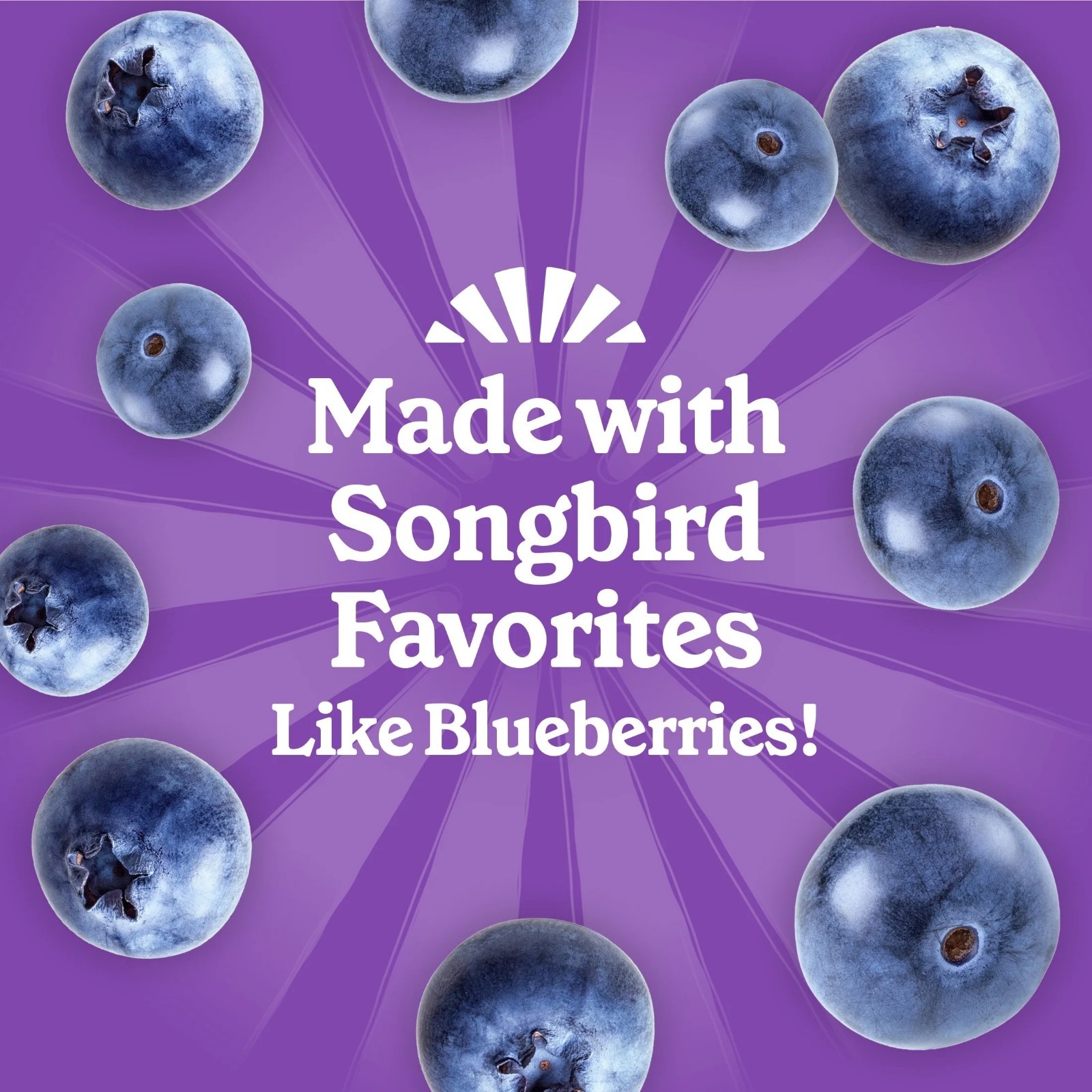 Pennington Feeding Frenzy Berry Treat Suet Cake for Wild Birds,11.75 oz, 16 Pack