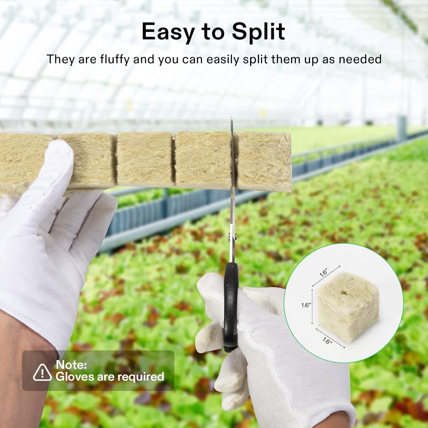 VIVOSUN 1"/1.6" Rockwool Cubes Stonewool Starter for Rooting, Cutting Plants