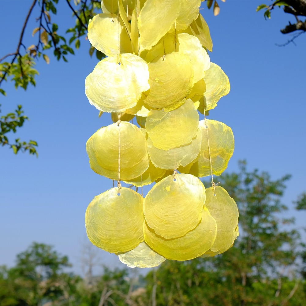 20Pcs Capiz Shells 5cm/2" Round Natural Shells with Silver Ring, White