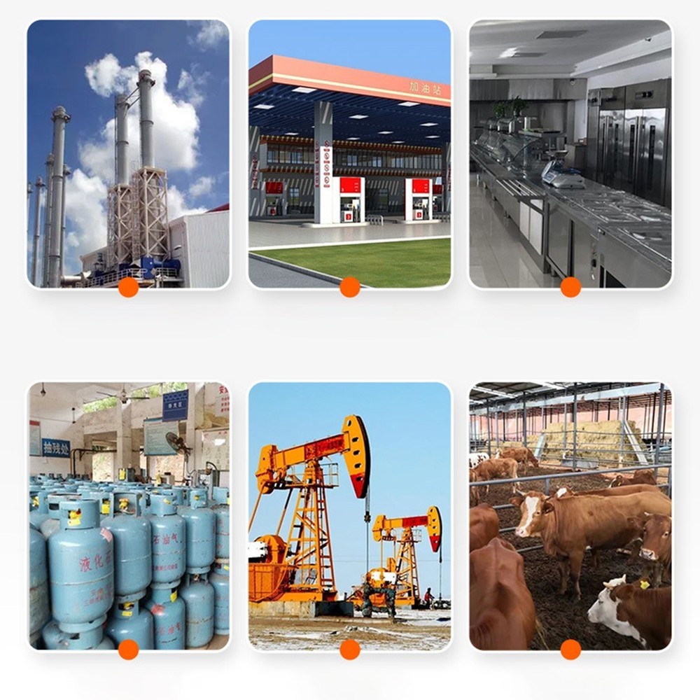 Gas Detection Device with Fast For Response Time and Clear Display Features