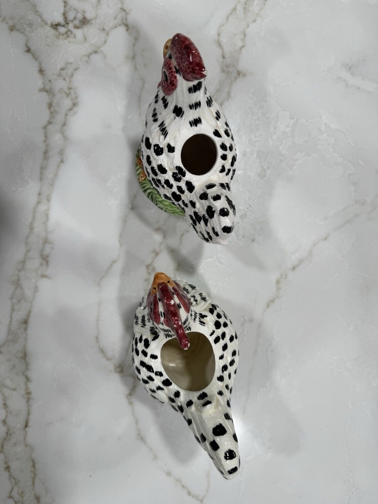 Set Up Two Spotted Chickens