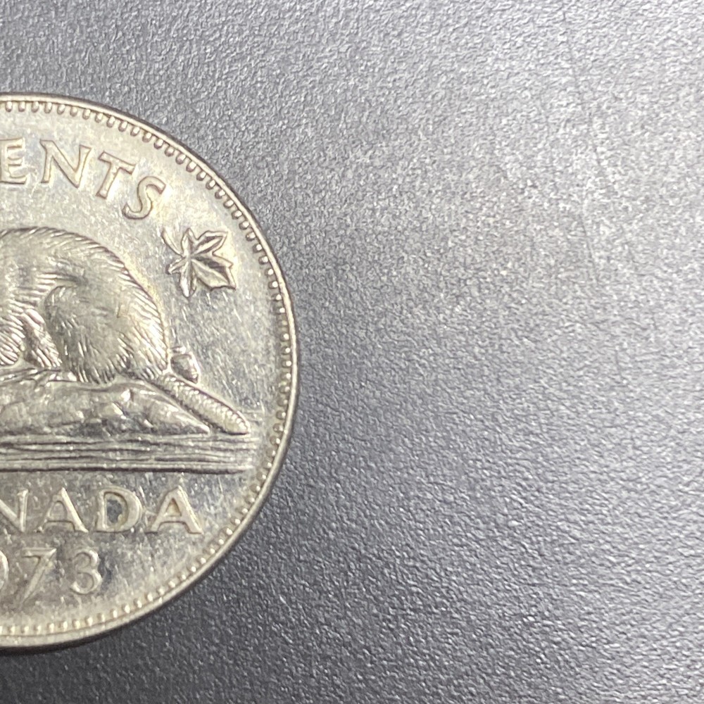 1973 Canada 5 Cents Good Condition Coin