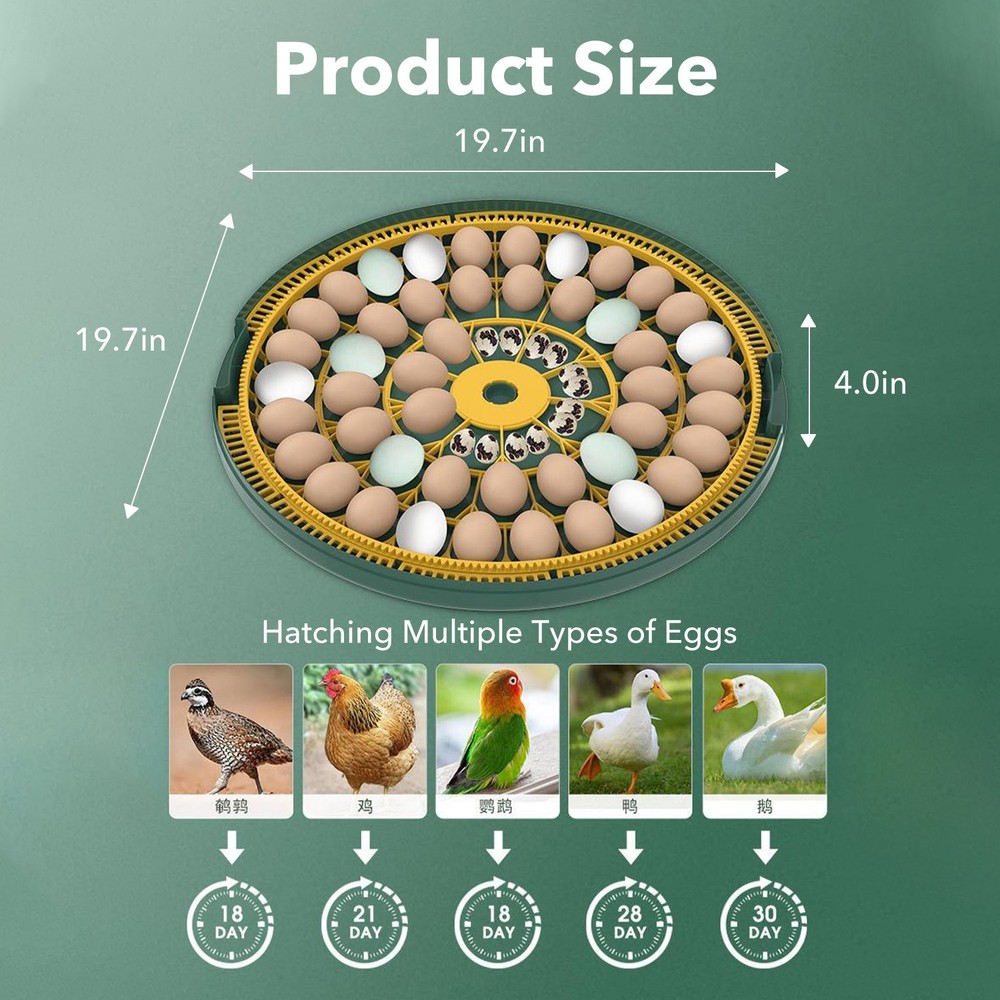 HBN 52 Egg Incubator with Automatic Egg Turning & Temperature Control