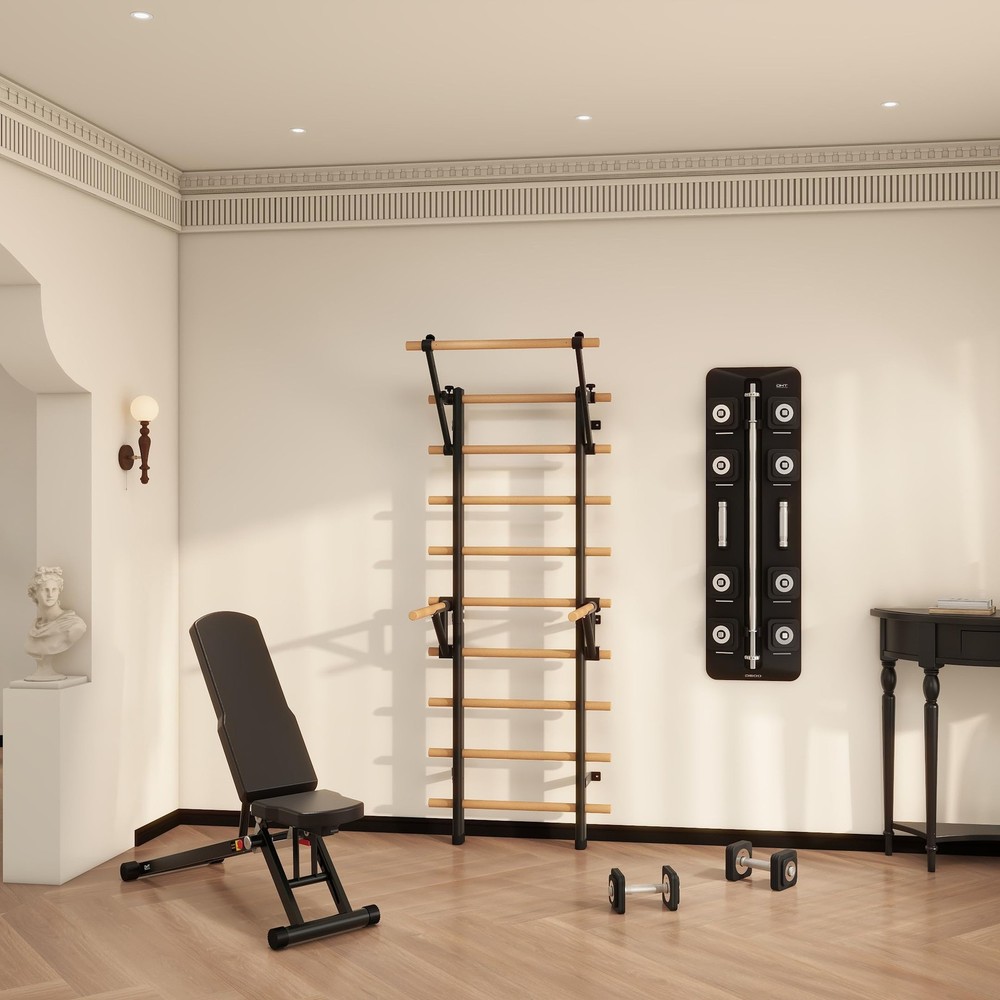 DHT Stall Bars & Pull-Up Bars - Wall Mounted Calisthenics Dip Bar Accessory -...