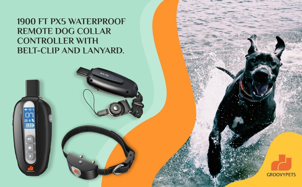 Remote Training Shock Collar Waterproof Trainer for Two Small Medium Large Dog