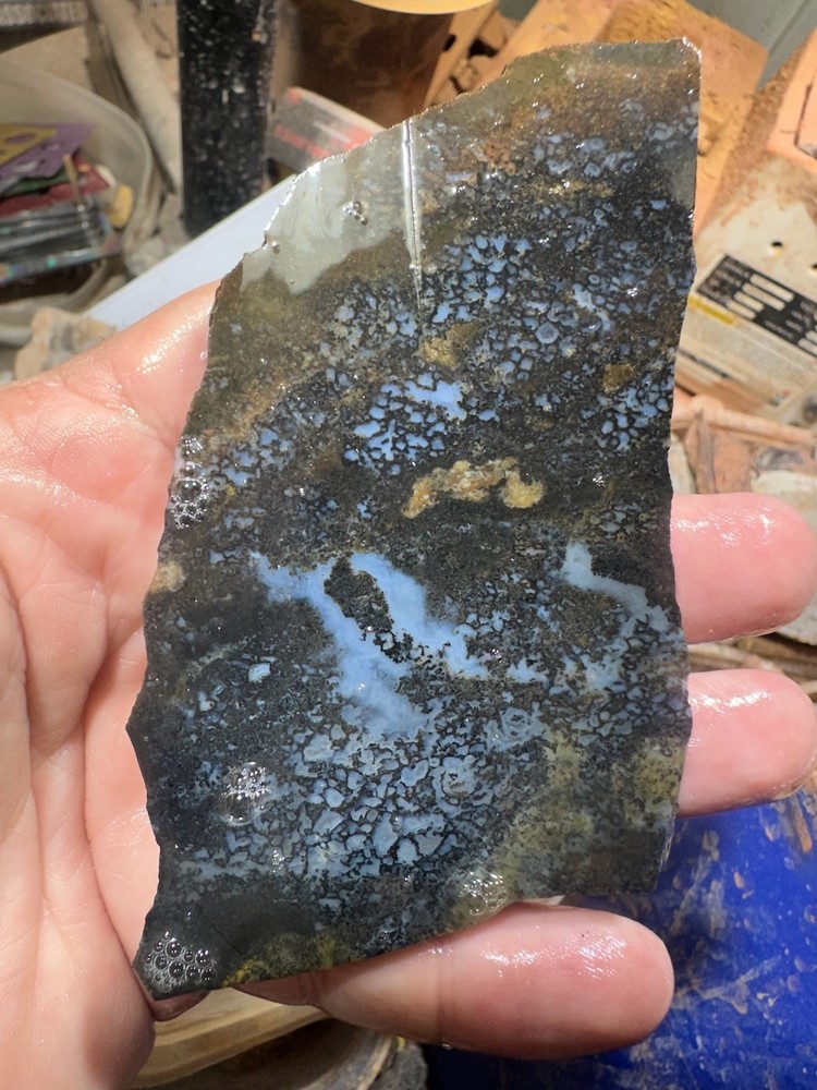 Dinosaur bone rough slab.