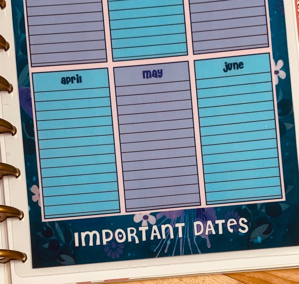 Important Dates 2 Sided Dashboard Insert for use with Happy Planner