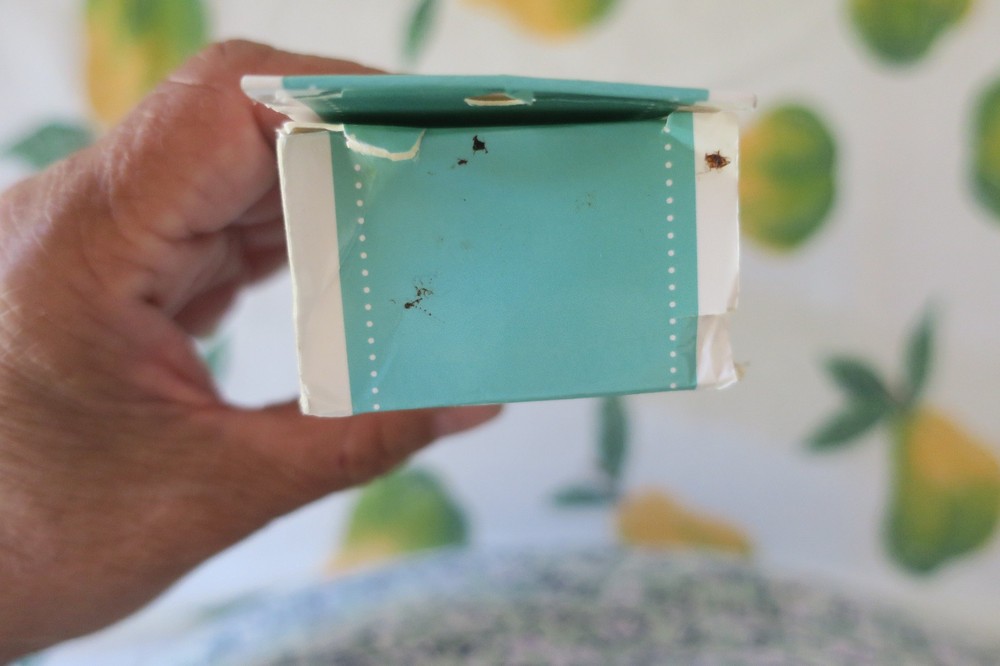 Stash 'n Store It's Sew Emma Mint 8"